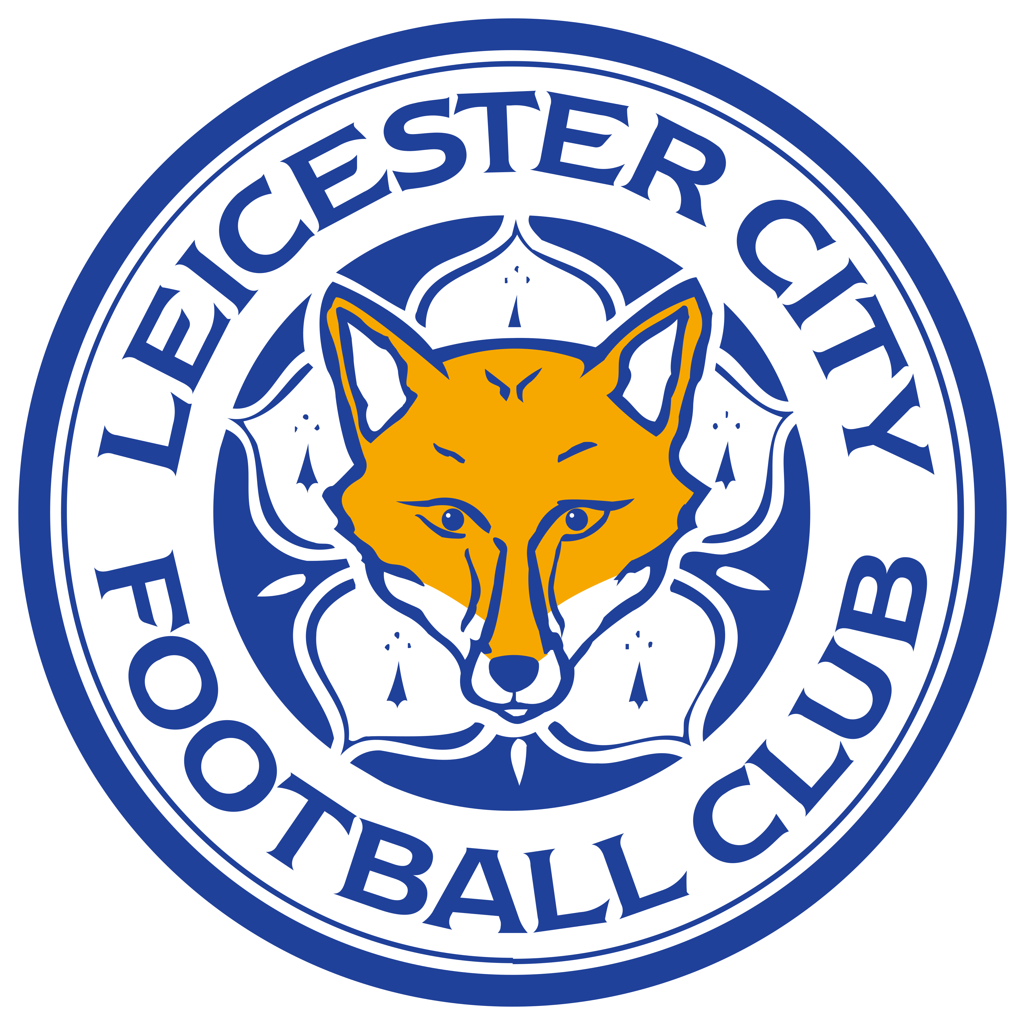 Leicester City Fc