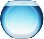Fish Bowl With Water