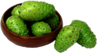 Fresh Noni Fruit
