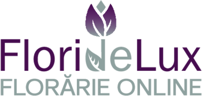 FlorideLux.ro