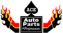 Ace Auto Parts