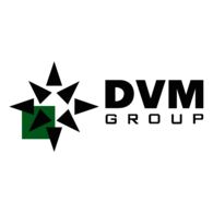 DVM Group
