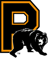 Providence Bruins Alternate 