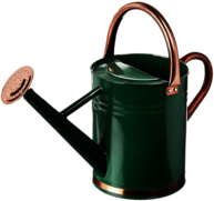 Green Watering Can With Copper Details
