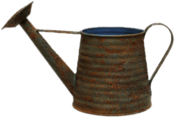 Rusty Watering Can