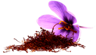 Saffron Flower