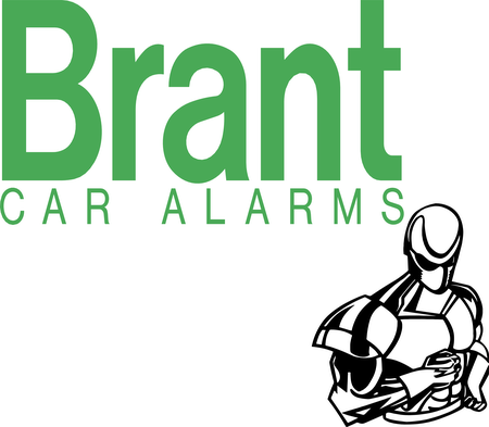 Brant 55316
