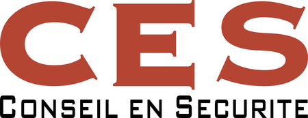 Conseil En Securite