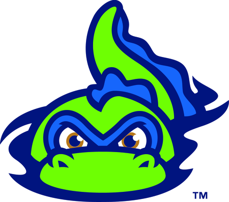 Vermont Lake Monsters