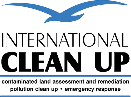 International Clean Up