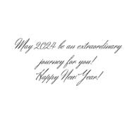 New Year 2024 Extraordinary Journey