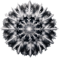 Circular Feather-like Snowflake
