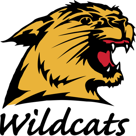 Nmu Wildcats