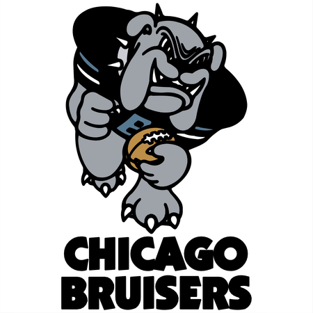 Chicago Bruisers