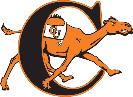 Campbell Fighting Camels