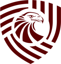 FC Saburtalo Tbilisi