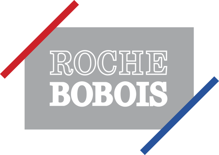 Roche Bobois