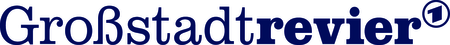 Grossstadt Revier Tv