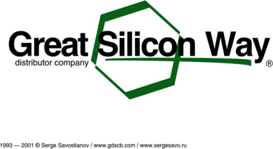Great Silicon Way