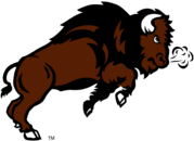 NDSU Bison