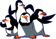 madagascar pinguinos penguins