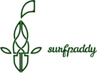 surfpaddy