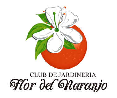 Flor del Naranjo