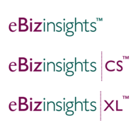 eBizinsights