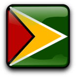 Guyana Flag Icon