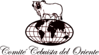 Comité Cebuista del Oriente