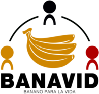 Banavid