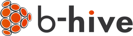 B-Hive Networks