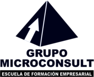 Microconsult Peru