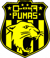 Defensores de Los Andes de Chimbas San Juan