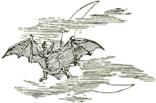 Bat In The Night Illustration