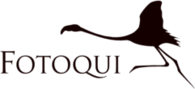 Fotoqui