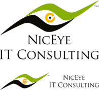 Niceye IT Consulting