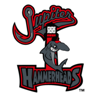 Jupiter Hammerheads