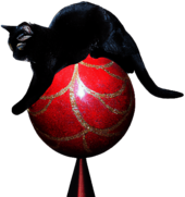 Black Cat Riding A Circus Ball, created with DALL-E