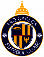 Bandeira de São Carlos-SP