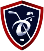 France National Ice Hockey Team 