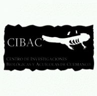 uam cibac