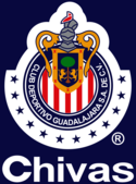 Chivas Rayadas (12 ligas)