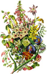 Colorful Bouquet Of Wildflowers