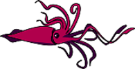 Pink Squid