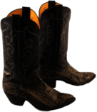 Snakeskin Cowboy Boots