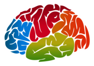 Brain Colour Drawing