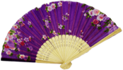 Flowers Chinese Fan