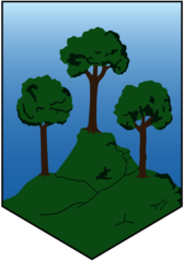 Virtus Acquaviva (early 2000's logo)