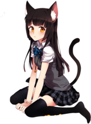 Cat Girl School Uniform
